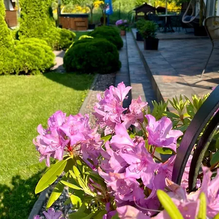 Bed & Breakfast Angel 3*