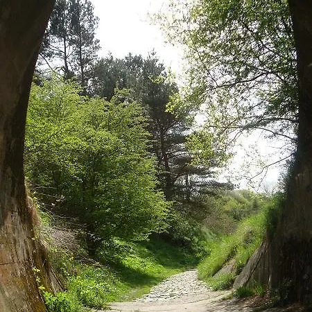 לינה וארוחת בוקר Angel 4*